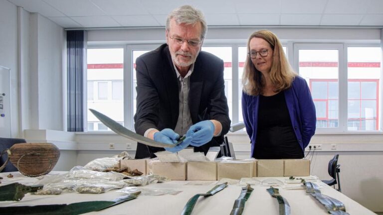 Approximately 8,000 medieval cash and seven Bronze Age swords unearthed in Germany