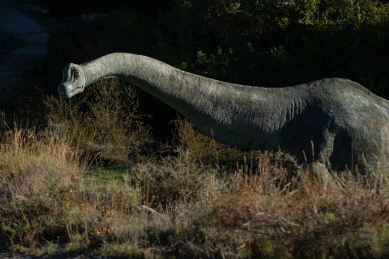 With Lengthy Necks and Vicious Predators, How Accurately Did Dinosaurs Rest?