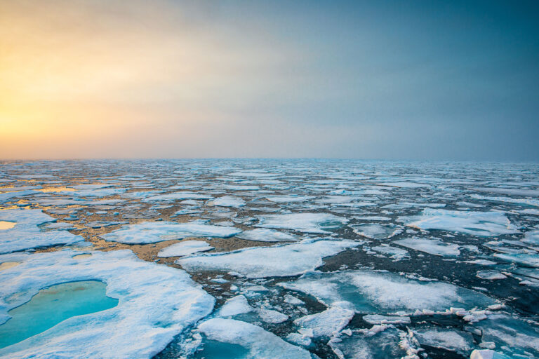 The Arctic Ocean is emitting a lot of carbon as its h2o warms