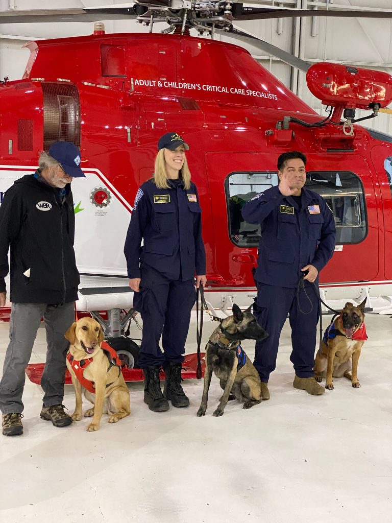 K9 Clinical Air Transportation Method Launched by Intermountain Daily life Flight