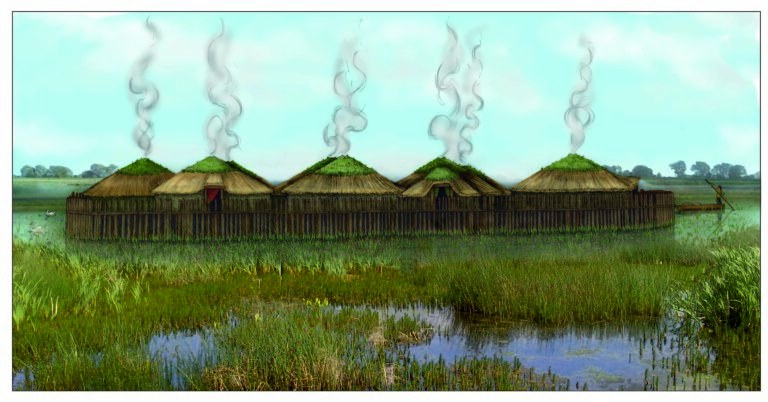 Village Objects Reveal Comfy, Swamp-Dwelling Life-style three,000 Years In the past
