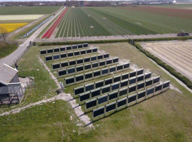 Netherlands approves ‘capacity limitation’ contracts for wind, photo voltaic