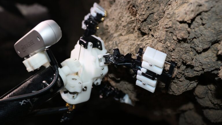 Daddy prolonged-legs-influenced robotic could one particular working day squirm via Martian caves