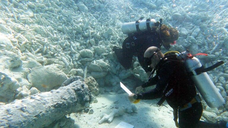 Mysterious Russian Cannons Uncovered Underwater In The Bahamas